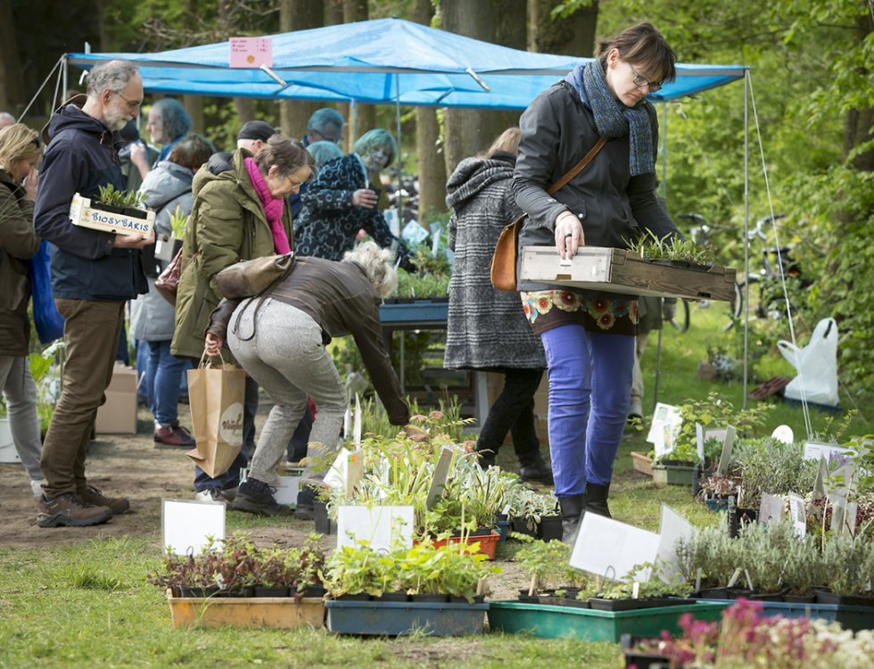 Bijen- en plantenmarkt