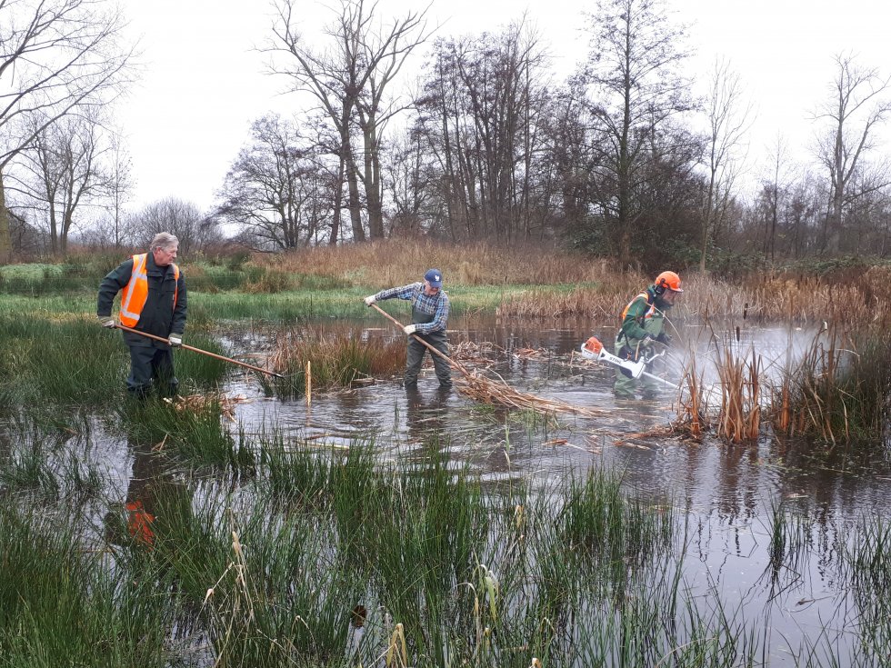 Wintervogeltelling Dommelbimd