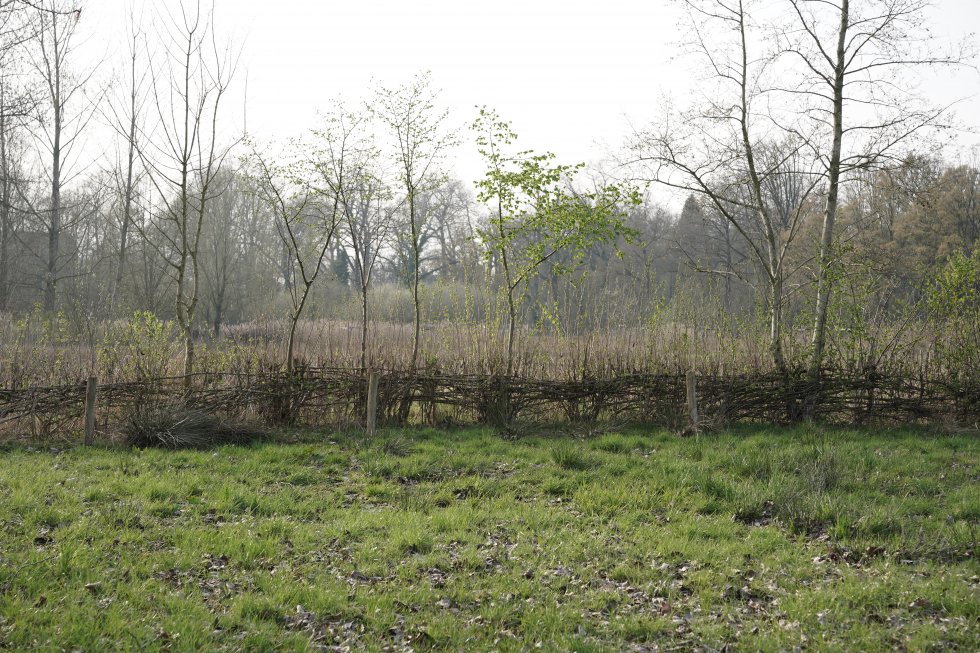 Openingsfestijn Plaats De Kleine Aarde